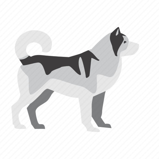 Alaskan, dog, malamute, pet icon - Download on Iconfinder