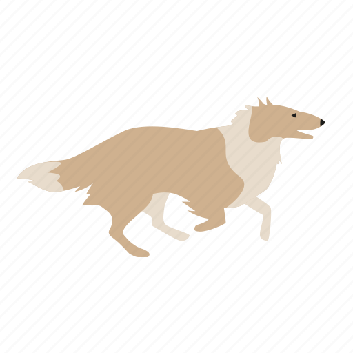 Collie, dog, pet icon - Download on Iconfinder on Iconfinder
