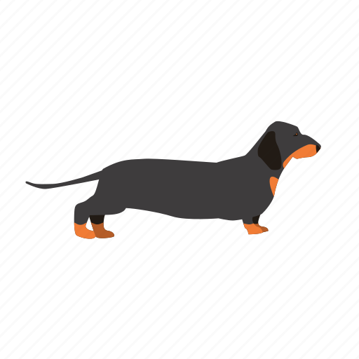 Animal, dachshund, dog icon - Download on Iconfinder