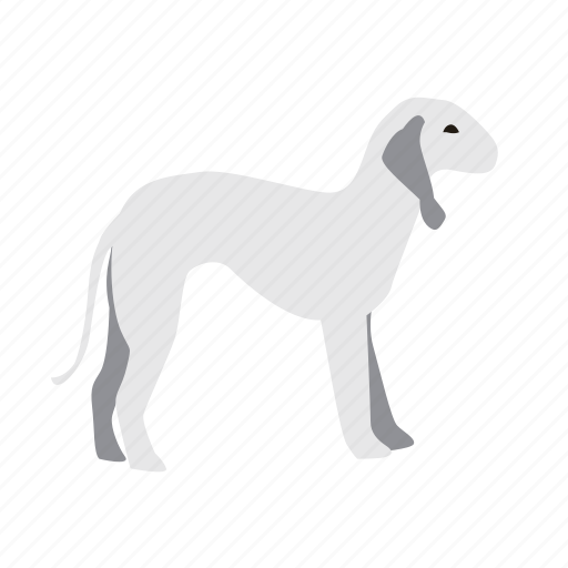 Animal, dog, pet, terrier icon - Download on Iconfinder