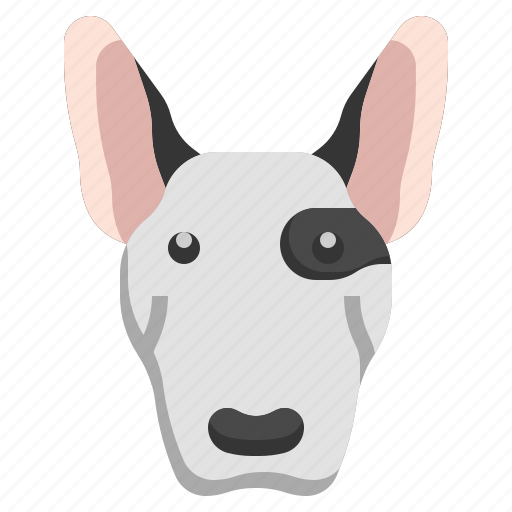 Bull, terrier, breed, animal, kingdom, mammal, pet icon - Download on Iconfinder