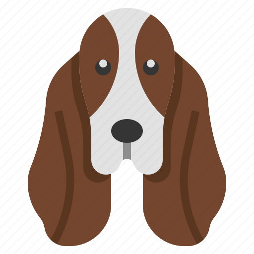 Hound, basset, zoology, breed, animal, kingdom icon - Download on Iconfinder