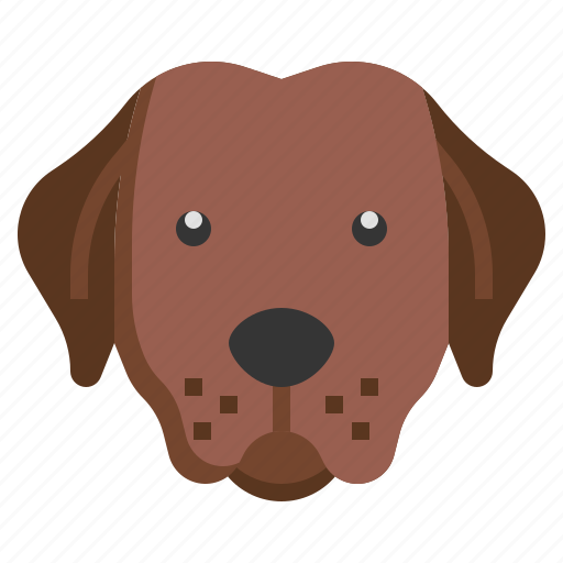 Labrador, retriever, breed, dog, dogs, pet icon - Download on Iconfinder