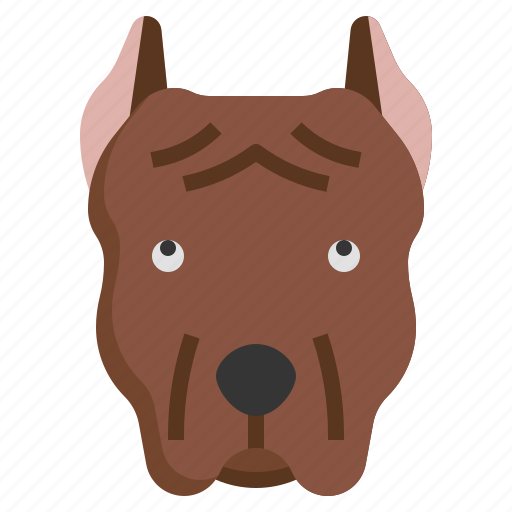 Pitbull, animal, kingdom, mammal, animals, dog icon - Download on Iconfinder