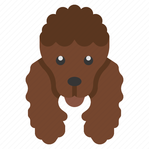 Poodle, animal, dog, pet, animals icon - Download on Iconfinder