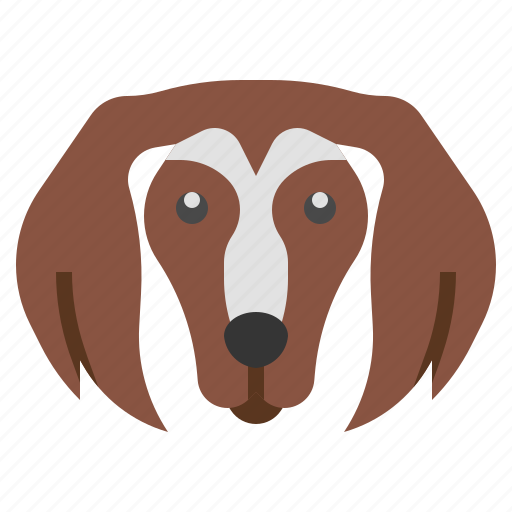 Saluki, breed, dog, dogs, mammal icon - Download on Iconfinder