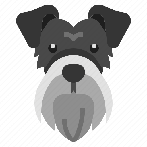 Schnauzer, breed, dog, dogs, pet icon - Download on Iconfinder