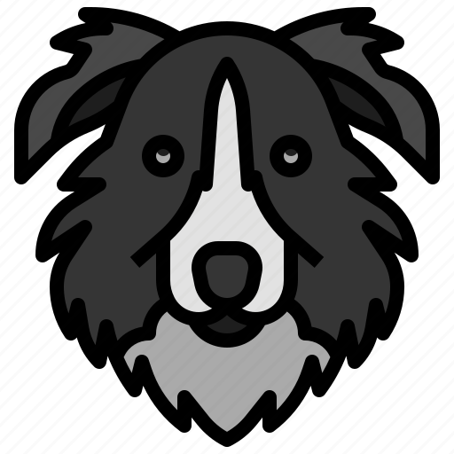 Border, collie, pedigree, breed, canine, mammal icon - Download on Iconfinder