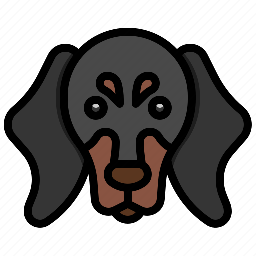 Dachshund, pedigree, breed, canine, mammal icon - Download on Iconfinder