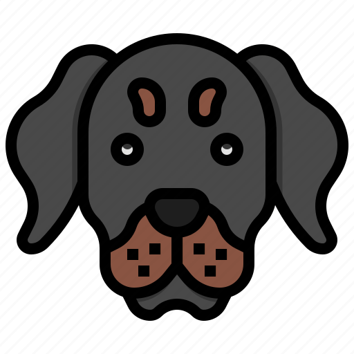 Rottweiler, pet, pets, animals, dog icon - Download on Iconfinder