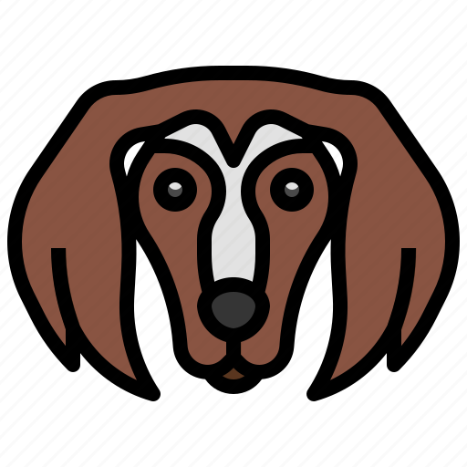 Saluki, breed, dog, dogs, mammal icon - Download on Iconfinder