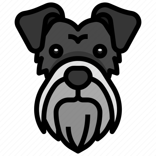Schnauzer, breed, dog, dogs, pet icon - Download on Iconfinder