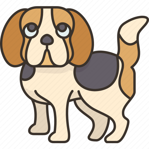 Beagle, puppy, pet, pedigree, domestic icon - Download on Iconfinder