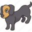 dachshund, hound, dog, pet, animal 