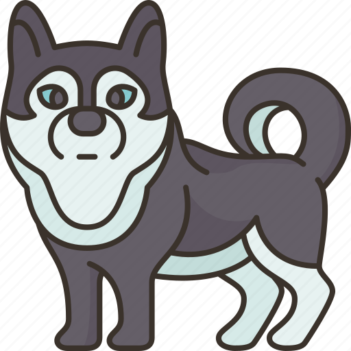 Siberian, husky, purebred, animal, domestic icon - Download on Iconfinder