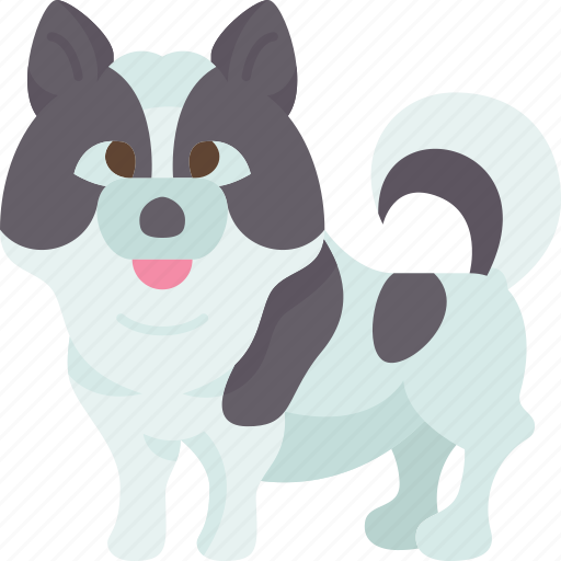 Bang, kaeo, dog, canine, domestic icon - Download on Iconfinder