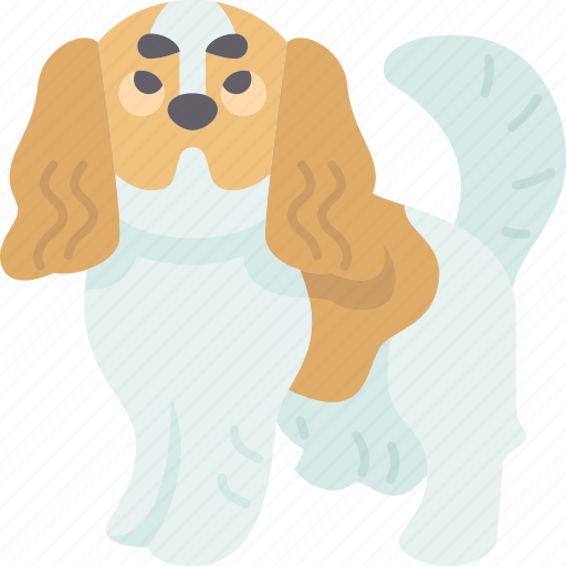 Cavalier, charles, spaniel, dog, miniature icon - Download on Iconfinder