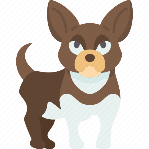 Chihuahua, dog, pet, purebred, miniature icon - Download on Iconfinder