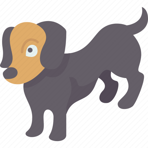 Dachshund, hound, dog, pet, animal icon - Download on Iconfinder