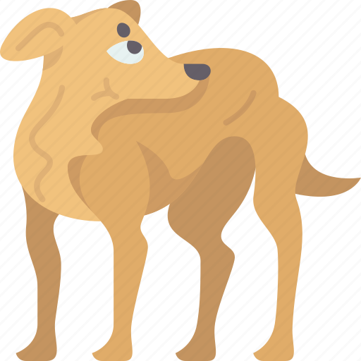 Greyhound, dog, breed, canine, pedigree icon - Download on Iconfinder