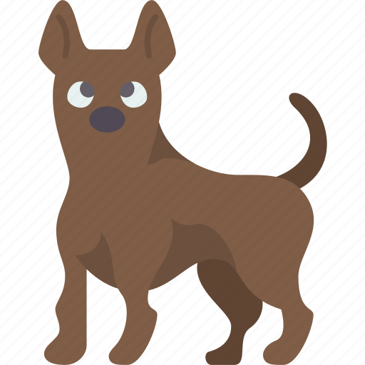 Ridgeback, dog, thai, purebred, domestic icon - Download on Iconfinder