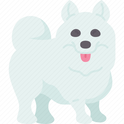Samoyed, dog, purebred, fluffy, domestic icon - Download on Iconfinder