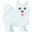 samoyed, dog, purebred, fluffy, domestic 