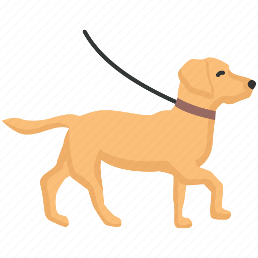 Dog, walk, dog walking, pet, labrador icon - Download on Iconfinder