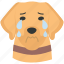 dog crying, weeping, emotions, emotional, sad 