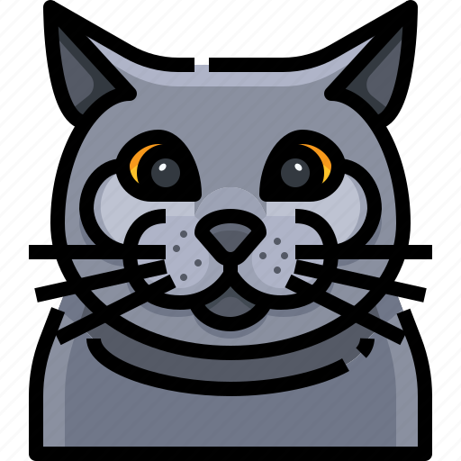 Animal, avatar, british, cat, kitty, pets, shorthair icon - Download on Iconfinder