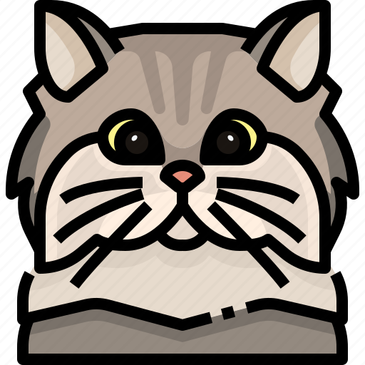Animal, avatar, cat, kitty, persian, pets icon - Download on Iconfinder