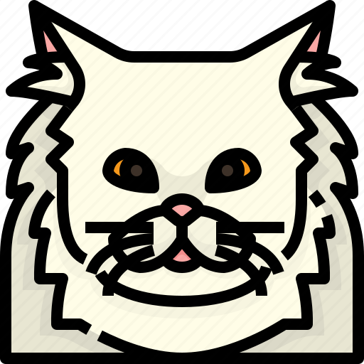 Animal, avatar, cat, kitty, persian, pets icon - Download on Iconfinder