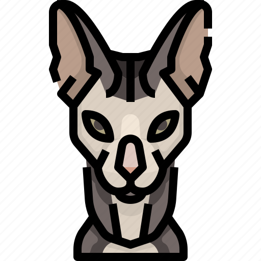 Animal, avatar, cat, kitty, pets, sphinx icon - Download on Iconfinder