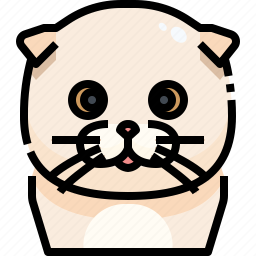 Animal, avatar, cat, fold, kitty, pets, scottish icon - Download on Iconfinder