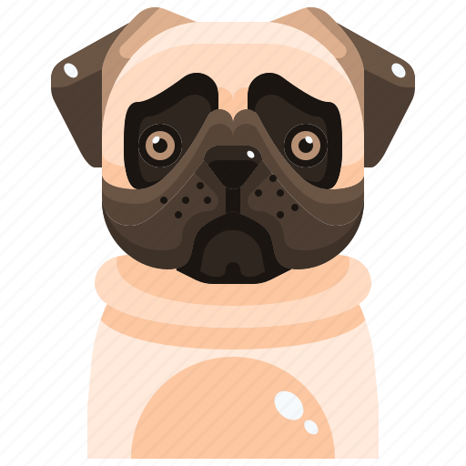 Animal, avatar, canine, dog, pets, pug, puppy icon - Download on Iconfinder