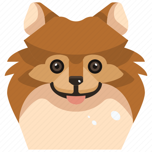 Animals, avatar, canine, dog, pets, pomeranian, puppy icon - Download on Iconfinder