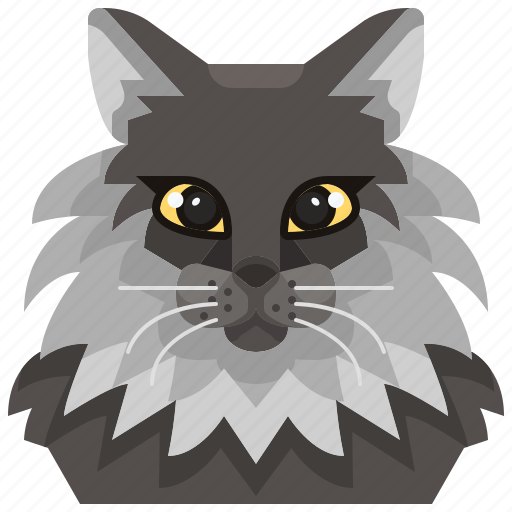 Animal, avatar, cat, coon, kitty, maine, pets icon - Download on Iconfinder