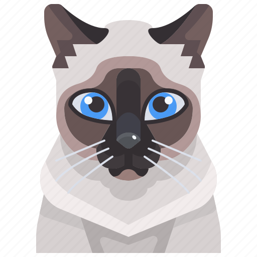 Animal, avatar, cat, kitty, pets, siamese icon - Download on Iconfinder
