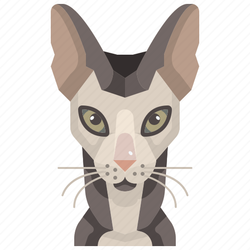 Animal, avatar, cat, kitty, pets, sphinx icon - Download on Iconfinder