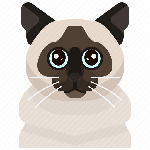 Animal, avatar, birman, cat, kitty, pets icon - Download on Iconfinder