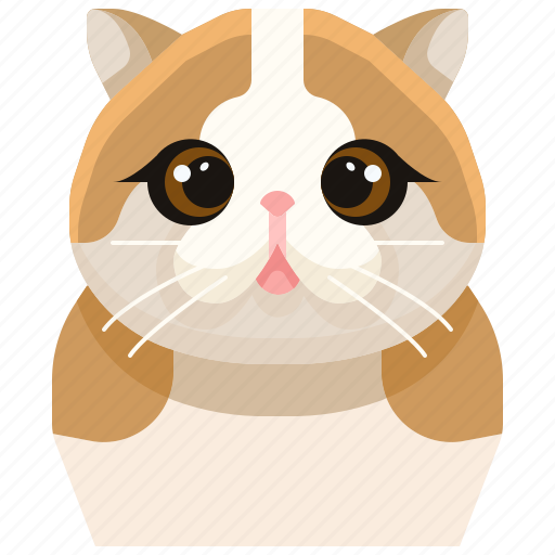 Animal, avatar, cat, fold, kitty, pets, scottish icon - Download on Iconfinder