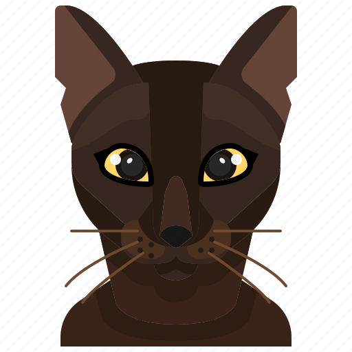 Animal, avatar, burmese, cat, kitty, pets icon - Download on Iconfinder