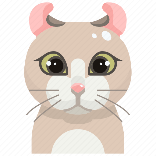 American, animal, avatar, cat, curl, kitty, pets icon - Download on Iconfinder