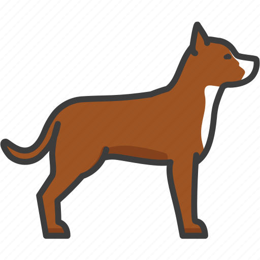 American, pit, bull, terrier, pitbull icon - Download on Iconfinder