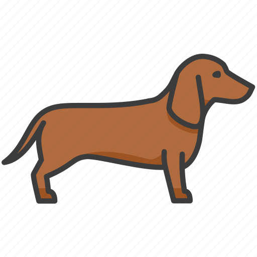 Dachshund, dackel, german badger-dog, badger, dog icon - Download on Iconfinder