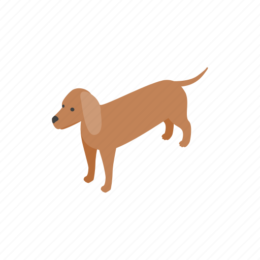 Animal, blog, canine, dachshund, dog, isometric, pet icon - Download on Iconfinder