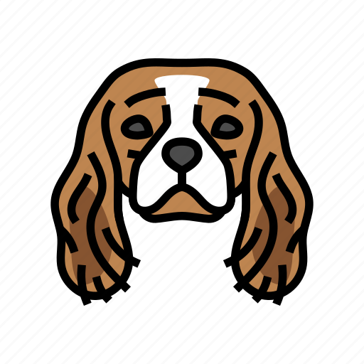 Cavalier, king, charles, spaniel, dog, puppy, pet icon - Download on Iconfinder