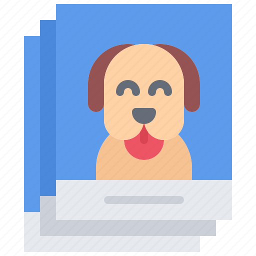 Photo, dog, pet, grooming icon - Download on Iconfinder