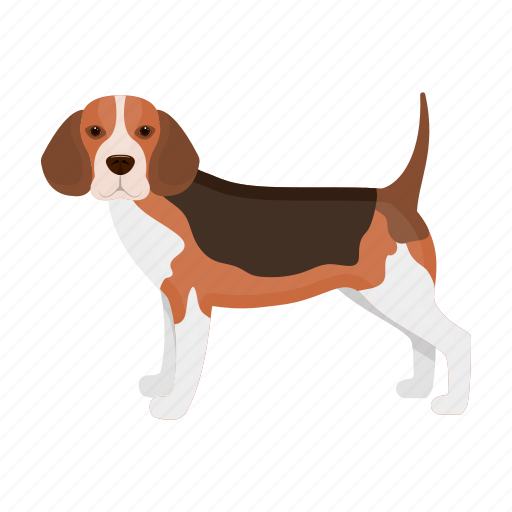 Beagle, beast, dog, mammal, pet icon - Download on Iconfinder