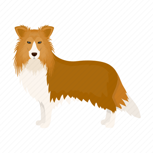 Beast, collie, colly, dog, mammal, pet icon - Download on Iconfinder